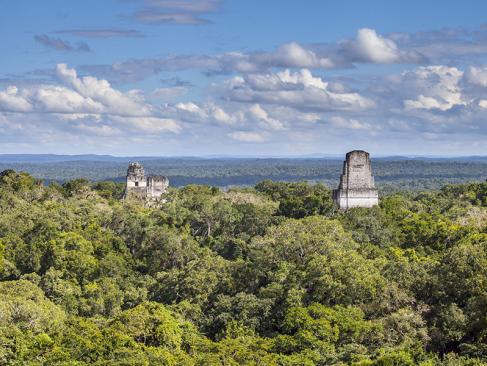 A Découvrir au Guatemala - Tikal