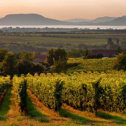 A Découvrir en Hongrie - Le Lac Balaton