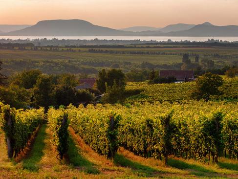 A Découvrir en Hongrie - Le Lac Balaton