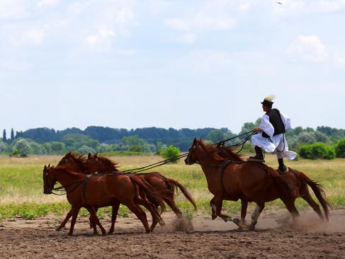 Puszta A Découvrir en Hongrie - Parc National d'Hortobagy