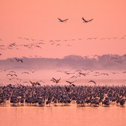 A Découvrir en Hongrie - Parc National d'Hortobagy