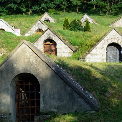 Tokaj - Caves à Vin à Hercegkut A Découvrir en Hongrie - Tokaj