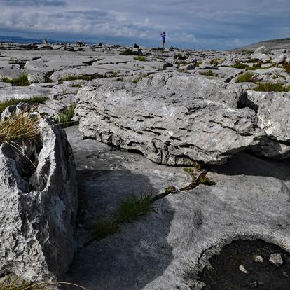 A Découvrir en Irlande - Burren