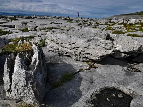 A Découvrir en Irlande - Burren