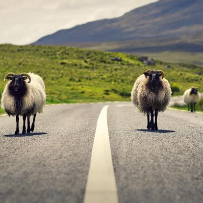 A Découvrir en Irlande - Le Connemara