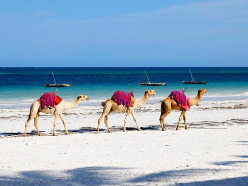 Diani Beach A Découvrir au Kenya - Diani Beach