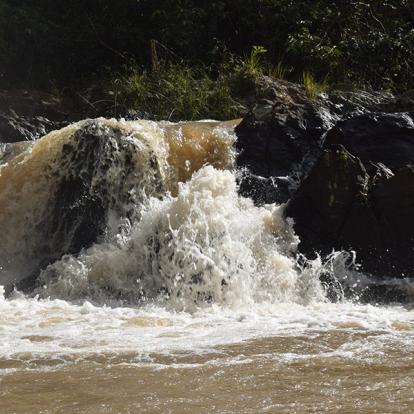©Joshua Tabti A Découvrir au Kenya - La Forêt de Kakamega