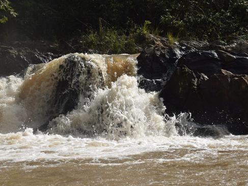 ©Joshua Tabti A Découvrir au Kenya - La Forêt de Kakamega