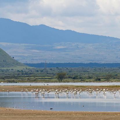 Lac Elementaita Pittoresque Avec Des Flamants Roses, Vallée Du Rift A Découvrir au Kenya - La Vallée du Rift