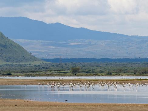Lac Elementaita Pittoresque Avec Des Flamants Roses, Vallée Du Rift A Découvrir au Kenya - La Vallée du Rift