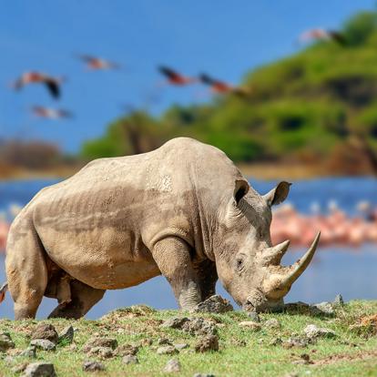 A Découvrir au Kenya - Parc National et Lac de Nakuru