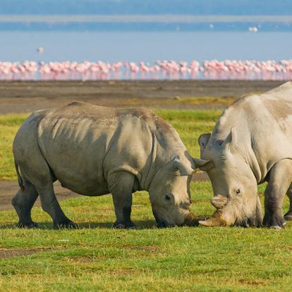 Lac De Nakuru A Découvrir au Kenya - Parc National et Lac de Nakuru