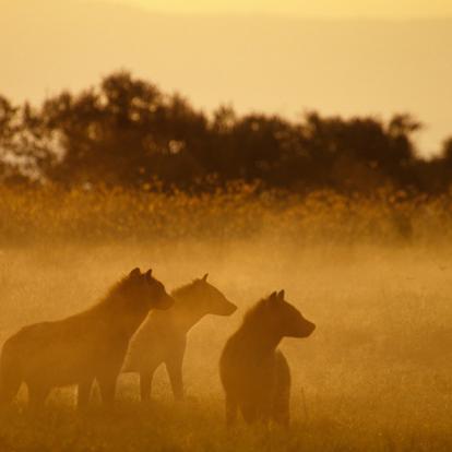 A Découvrir au Kenya - Le Lac Turkana