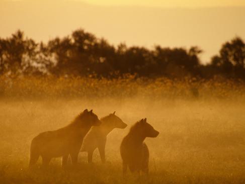 A Découvrir au Kenya - Le Lac Turkana