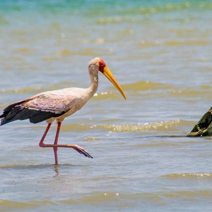 A Découvrir au Kenya - Le Lac Turkana