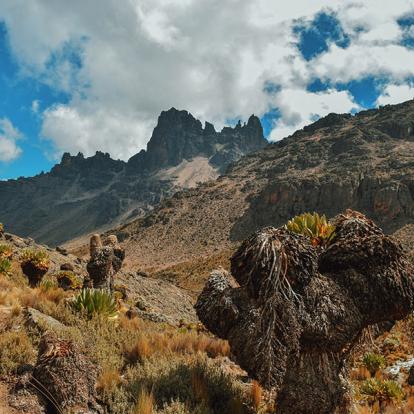 A Découvrir au Kenya - Le Mont Kenya