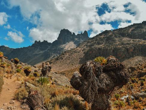 A Découvrir au Kenya - Le Mont Kenya