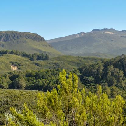 A Découvrir au Kenya - Le Mont Kenya