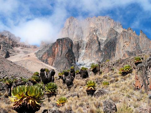 A Découvrir au Kenya - Le Mont Kenya