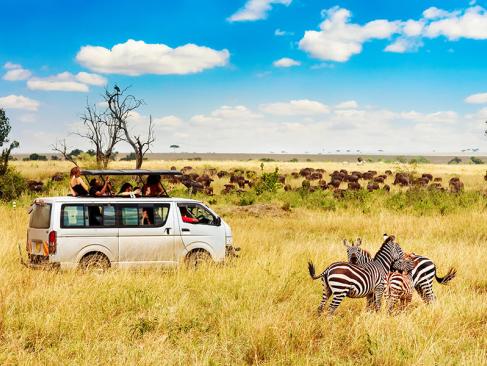 Masai Mara A Découvrir au Kenya - La Réserve  Nationale de Massaï Mara