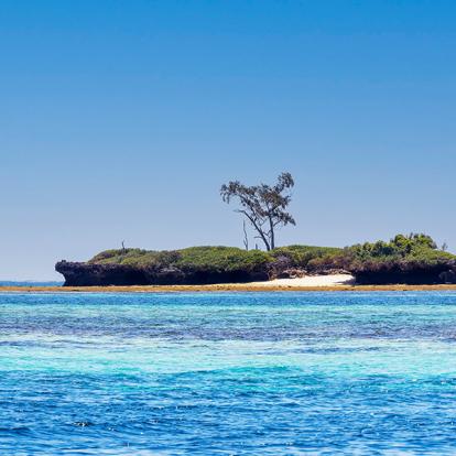 Île Wasini et parc national marin de Kisite-Mpunguti A Découvrir au Kenya - Le Parc Marin de Kisite