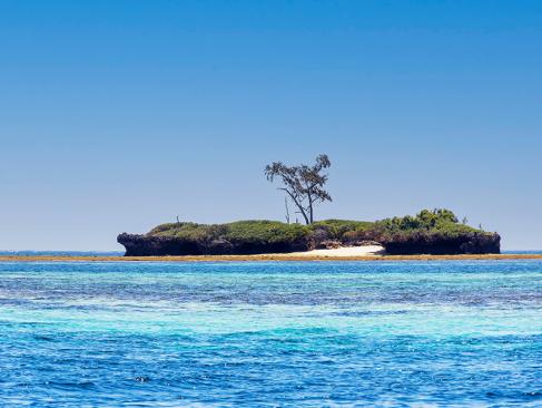 A Découvrir au Kenya - Le Parc Marin de Kisite