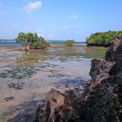 A Découvrir au Kenya - Le Parc Marin de Kisite