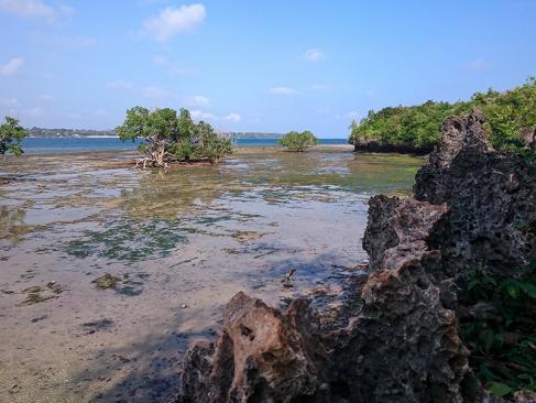 A Découvrir au Kenya - Le Parc Marin de Kisite