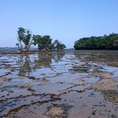 A Découvrir au Kenya - Le Parc Marin de Kisite