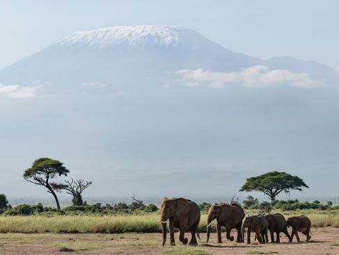 Parc National D'Amboseli A Découvrir au Kenya - Le Parc National d'Amboseli