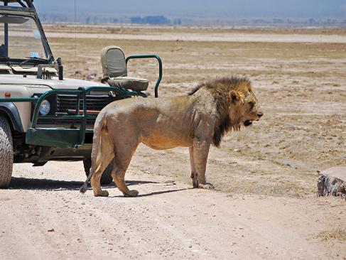 Parc National D'Amboseli A Découvrir au Kenya - Le Parc National d'Amboseli