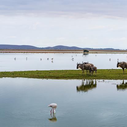 Parc National D'Amboseli A Découvrir au Kenya - Le Parc National d'Amboseli