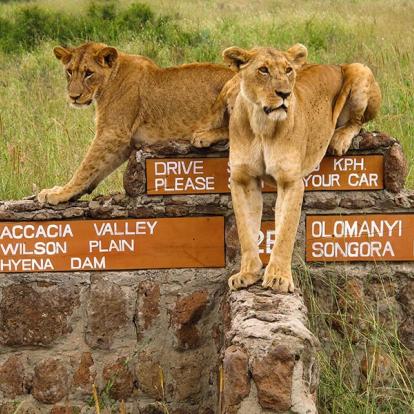 A Découvrir au Kenya - Le Parc National de Nairobi