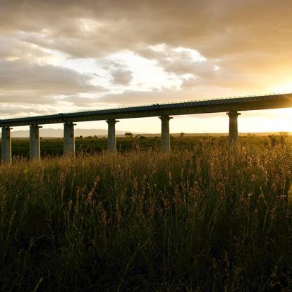 A Découvrir au Kenya - Le Parc National de Nairobi