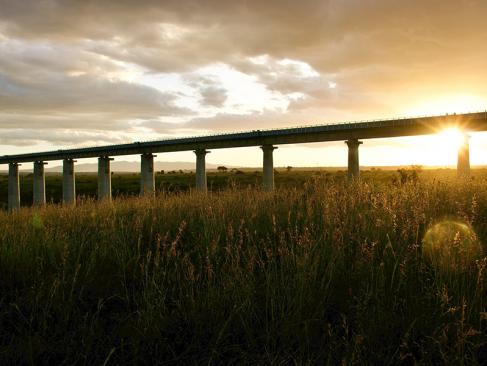 A Découvrir au Kenya - Le Parc National de Nairobi