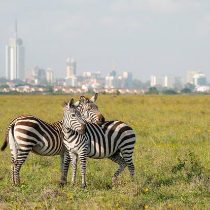 A Découvrir au Kenya - Le Parc National de Nairobi
