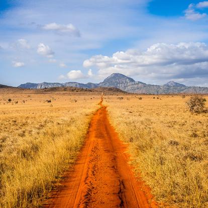A Découvrir au Kenya - Le Parc National de Tsavo