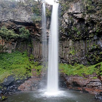 A Découvrir au Kenya - Le Parc National des Aberdares