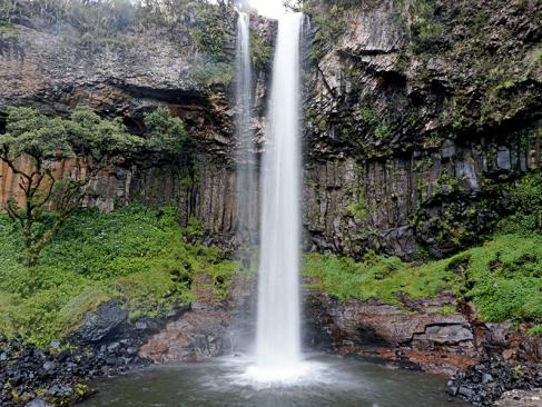 A Découvrir au Kenya - Le Parc National des Aberdares