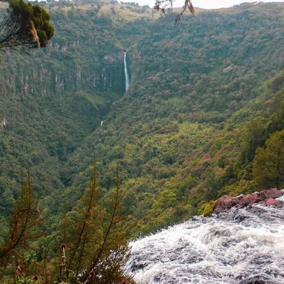 A Découvrir au Kenya - Parc National des Aberdares