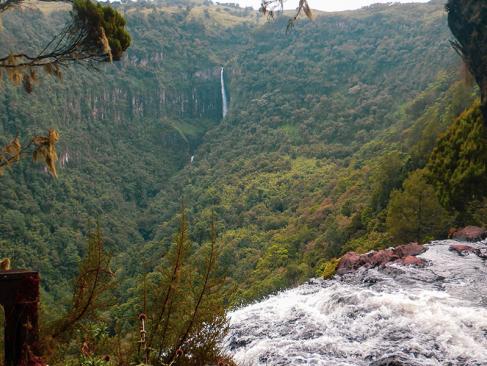 A Découvrir au Kenya - Parc National des Aberdares