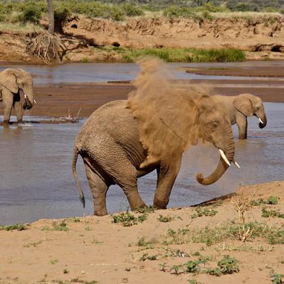 A Découvrir au Kenya - La Réserve de Samburu