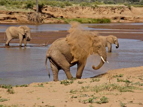 A Découvrir au Kenya - La Réserve de Samburu