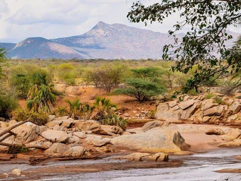 A Découvrir au Kenya - La Réserve de Samburu