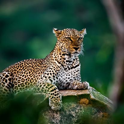 A Découvrir au Kenya - La Réserve de Samburu