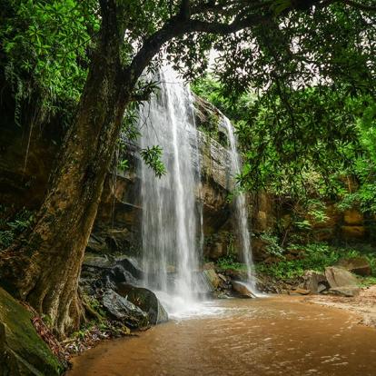 A Découvrir au Kenya - La Réserve de Shimba Hills