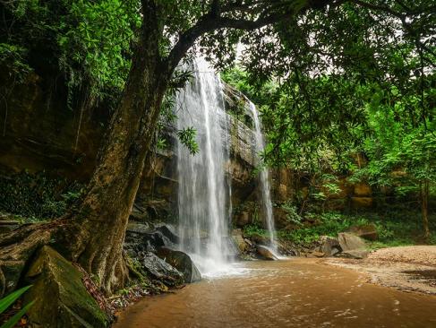 A Découvrir au Kenya - La Réserve de Shimba Hills