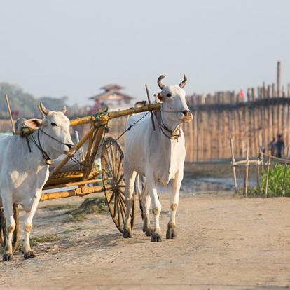 A Découvrir en Birmanie - Amarapura et son fameux Pont d'U-Bein