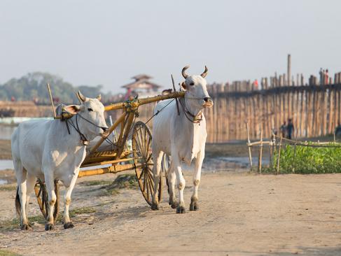A Découvrir en Birmanie - Amarapura et son fameux Pont d'U-Bein