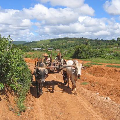 A Découvrir en Birmanie - Kalaw